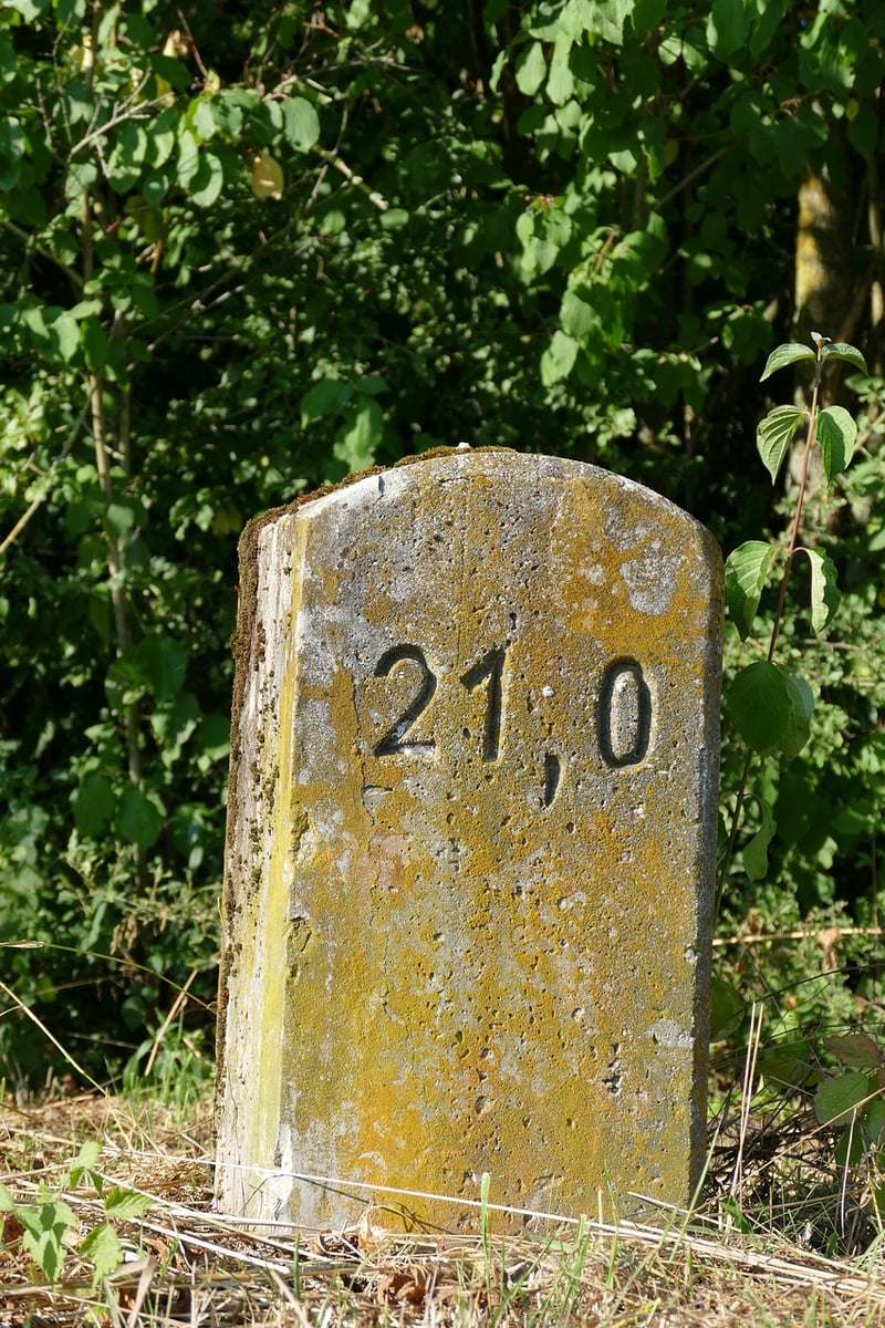 Achievement Milestones
